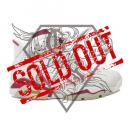 AIR JORDAN 6 RETRO MAROON