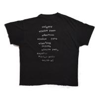 PEARL JAM window pain