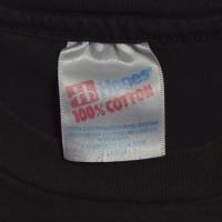 PEARL JAM window pain