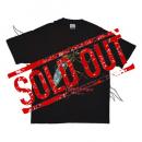 MINISTRY JUST ONE FIX