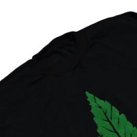 DR. DRE "The Chronic" Europe Model