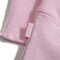 Bandana Box Logo Hooded Sweatshirt Pink