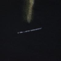 NINE INCH NAILS THE DOWNWARD SPIRAL